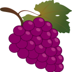 378px-Bunch_of_grapes_icon.svg Grapes clip art